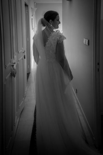 DSC_1381-NEF