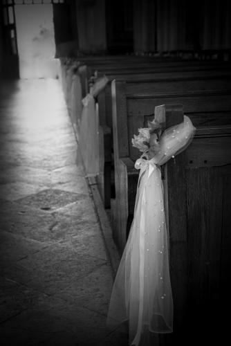 DSC_1414-NEF-Modifier